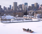 �A���o�[�^�B�̊T�v