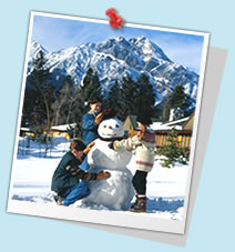 �A���o�[�^�B �����̃|�C���g