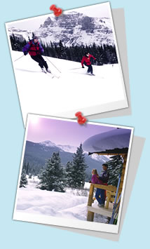 �X�L�[���X�m�[�{�[�h �l�C�X�L�[��̃n�V�S���\