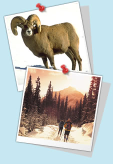 ���̑��̃A�N�e�B�r�e�B���_�C�i�~�b�N�Ȑ�V�т������ς��I