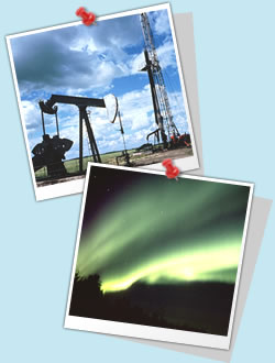 �k��56�x�̒��ŏo��_��̌�