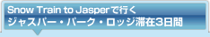 Snow Train To Jasper�ōs���W���X�p�[�E�p�[�N�E���b�W�؍�3����