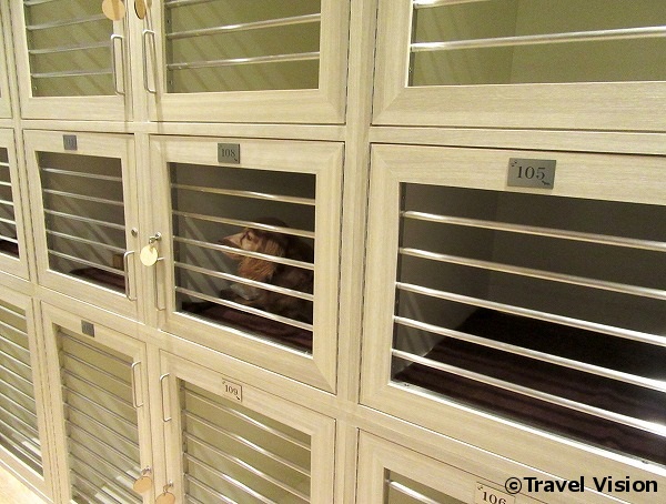 「Dog Lovers' Suites at Tokyo Bay」では、一般客室の宿泊者も利用可能な犬の一時預かりサービスを提供。料金は、「Dog Friendly Room」の宿泊者の場合、宿泊当日の9時からチェックアウトまでが無料で、チェックアウト後は1時間につき500円