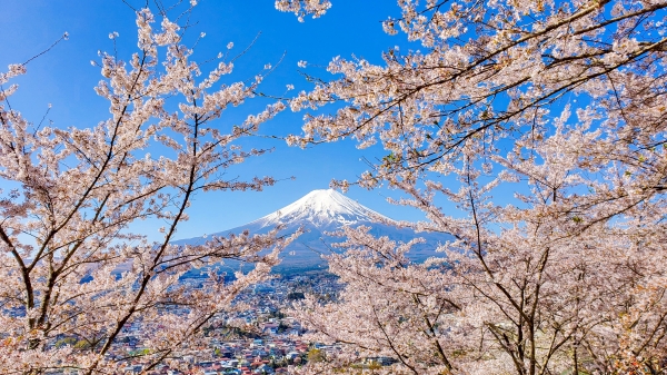 The best countries in the world
